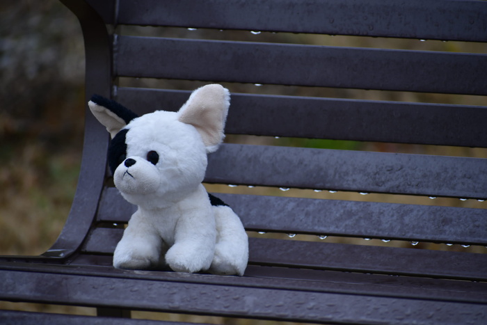 家具，公园长凳，长凳，玩具，扶手，泰迪熊，沙发