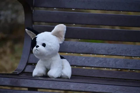 家具，公园长凳，长凳，玩具，扶手，泰迪熊，沙发