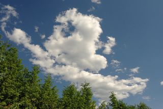 天气，云，自然，桌面背景，广角，云-天空，天空，树