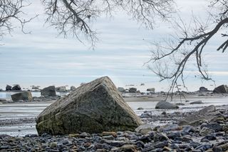 海洋，平静，海，水，天空，自然，夏天，海滩