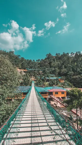 马来西亚，simpang，Tertak河景观，桥梁，我们的，荒野，丛林，树木