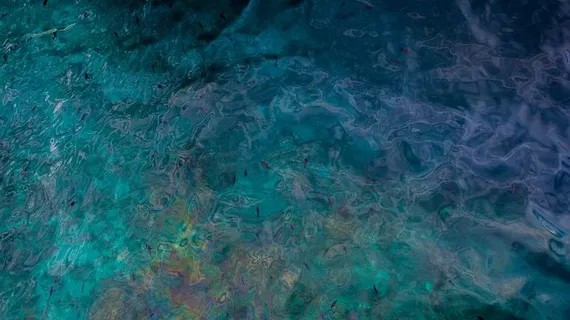 蓝色抽象绘画，俯视，海洋，海洋，水，蓝色，鱼，自然