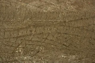 泥, 污垢, 沙, 曲目, 纹理, 背景, 特写