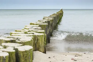 waters，sea，beach，ocean，coast，groynes，波罗的海，water