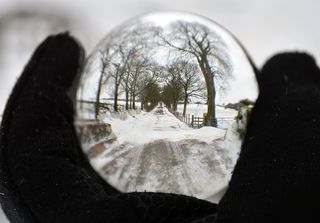 冬天，雪，寒冷，户外，自然，树木，霜冻，冰冻