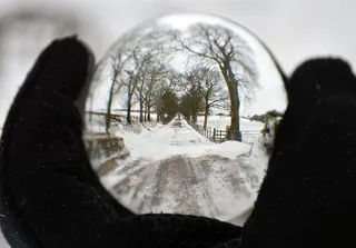冬天，雪，寒冷，户外，自然，树木，霜冻，冰冻