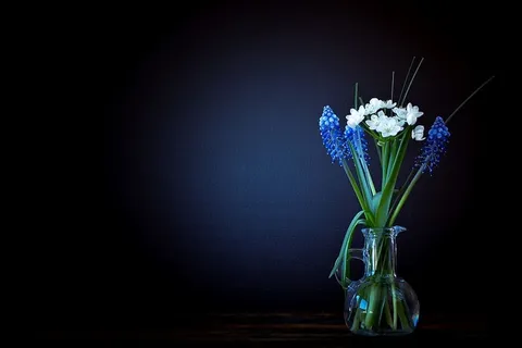 白色,蓝色,葡萄风信子花饰,花朵,花瓶,玻璃,韭菜花,风信子 白色,蓝色,葡萄风信子花饰,花朵,花瓶,玻璃,韭菜花,风信子