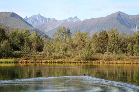 水，湖，自然，倒影，山，森林，夏天，风景