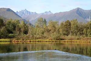 水，湖，自然，倒影，山，森林，夏天，风景