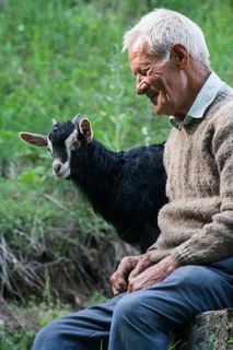 人, 祖父, 成人, 肖像, 脸, 微笑, 快乐, 手