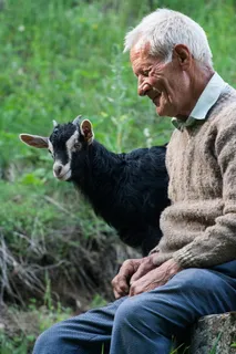 人, 祖父, 成人, 肖像, 脸, 微笑, 快乐, 手