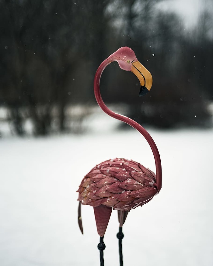 雪地里的粉红色火烈鸟雕像