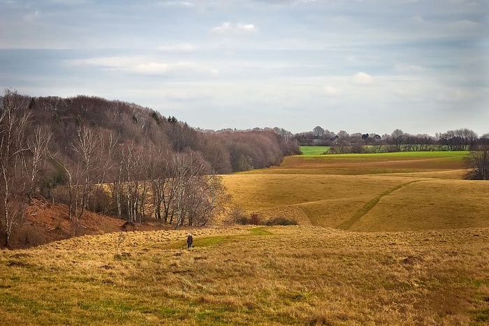 风景，自然，草地，森林，当然，云，天，山
