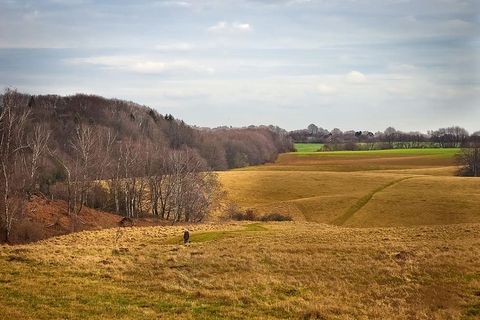 风景，自然，草地，森林，当然，云，天，山