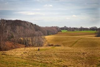 风景，自然，草地，森林，当然，云，天，山