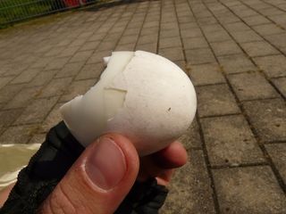 鸡蛋，蛋壳，拇指，手，晚祷，吃，人手，菜鸟图库