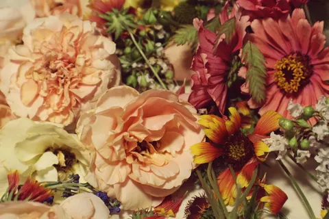白色和粉红色花瓣花束特写照片 白色和粉红色花瓣花束特写照片