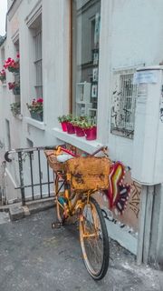 巴黎，法国，蒙马特，植物，街道，小，椅子，白色