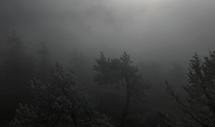 美国，斯波坎，沙龙停车场的岩石，福雷斯，不祥，神秘，蒂姆伯顿，黑暗