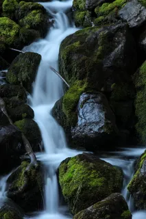 森林,瀑布,瀑布,河流,长时间暴露,水,运动,风景-自然 森林,瀑布,瀑布,河流,长时间暴露,水,运动,风景-自然
