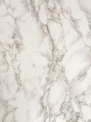 灰色，白色，大理石表面，大理石，背景，背景，大理石背景，表面