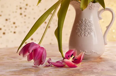 粉色,郁金香,白色,花瓶中心,静物,花瓶,花,郁金香 粉色,郁金香,白色,花瓶中心,静物,花瓶,花,郁金香