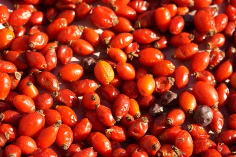 玫瑰果、食用、干燥、红色、食品、食品和饮料、健康饮食、大型物件