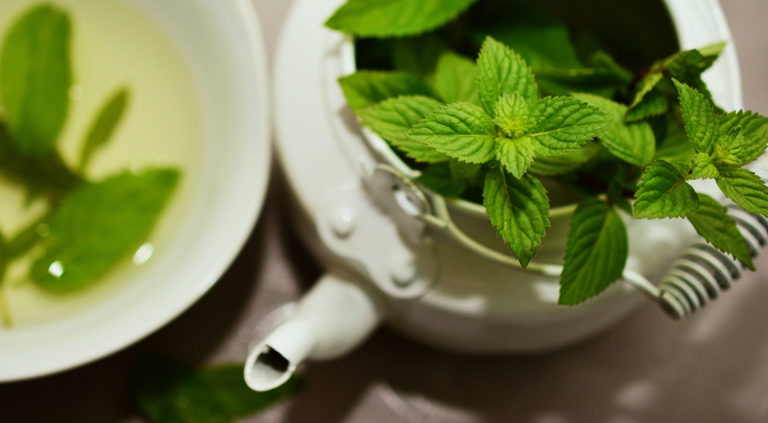 选择性、聚焦摄影、绿色、叶状植物、白色、茶壶、薄荷、药用植物