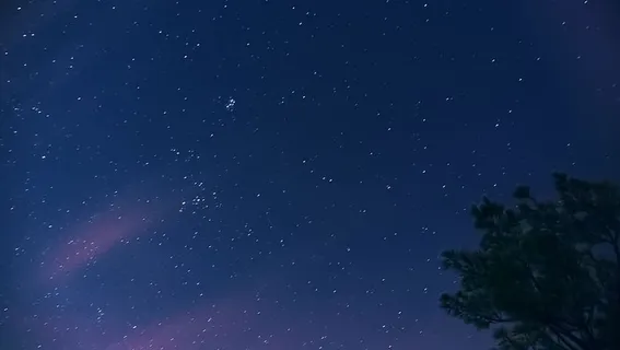 星星,夜晚,冬天,寒冷,树,蓝色,凉爽,星光 星星,夜晚,冬天,寒冷,树,蓝色,凉爽,星光