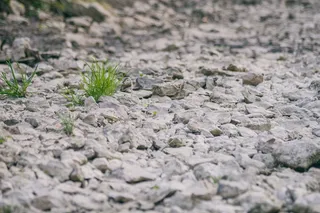 德国，伊尔肖芬，碎石，干燥，草，路径，石头，选择性聚焦