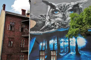 灰色、黄色、猫头鹰、树木、彩绘、墙壁、壁画、老房子