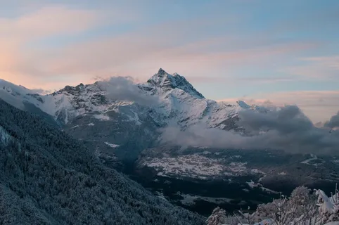 雪、冬天、树、植物、自然、山脉、高地、天空 雪、冬天、树、植物、自然、山脉、高地、天空