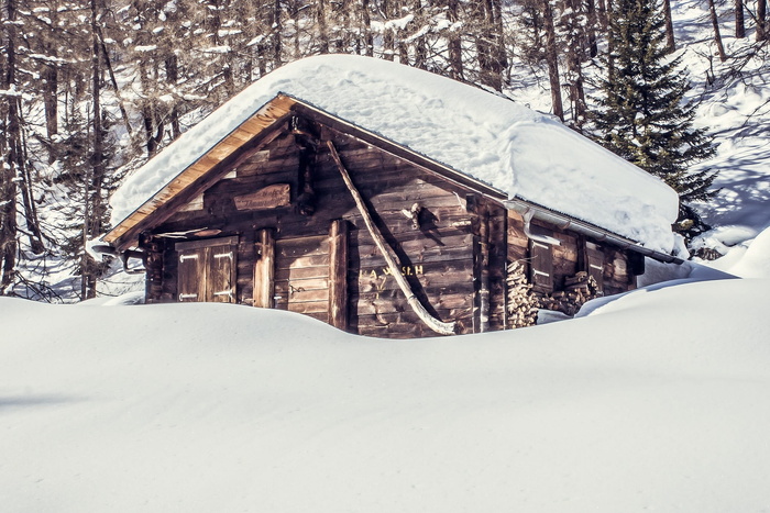 寒冷，雪，木材，森林，平房，小屋，房子，小屋