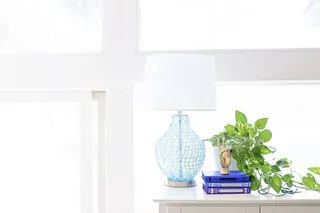 靠近工厂和书籍的餐具柜上的白色台灯