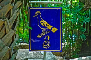 注意，伯德，沃恩希尔，蓝色，轮椅，不同能力，无人，户外