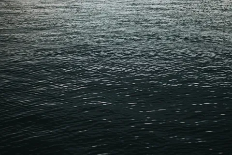 白天的水体 白天的水体