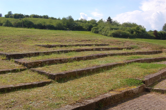 逐渐地，山，景观，植物，生长，田地，农业，环境