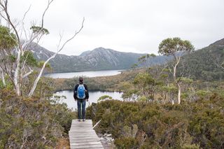 鸽子湖，摇篮山，利拉湖，塔斯马尼亚，国家公园，自然，户外，风景