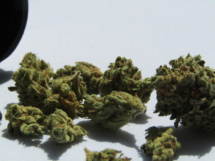 大麻，420，大麻，毛状体，巨大麻，大麻芽，室内，食品和饮料