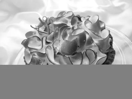 圆形纸杯蛋糕，柠檬，酸，酸橙，蛋糕，水果，蛋白酥皮，甜点