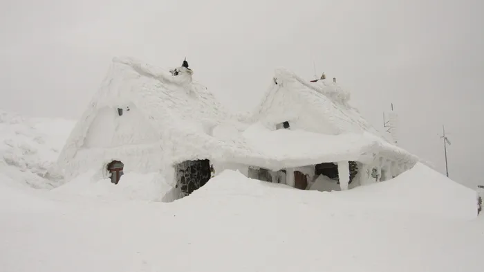 房屋，雪，掩埋，冬季，12月，1月，风暴，暴风雪