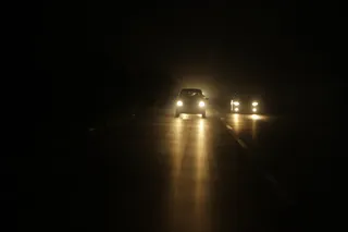 自然、花、植物、热带、陌生人、兰花、照明、机动车