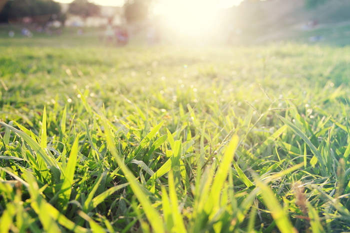 巴西、里约热内卢、金塔·达博阿·维斯塔、和平、巴西、迪坎索、维德、rj