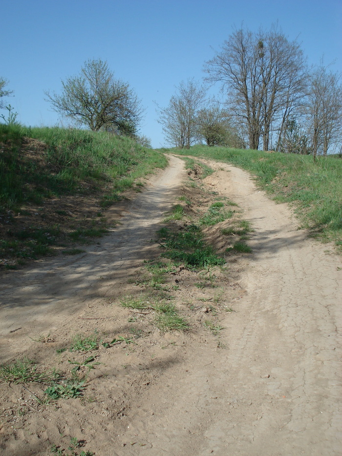 土路，农村，田地，小路，道路，田地小路，农场小路，乡村小巷