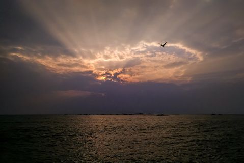 日落，大海，傍晚，海洋，太阳，自然，天空，地平线