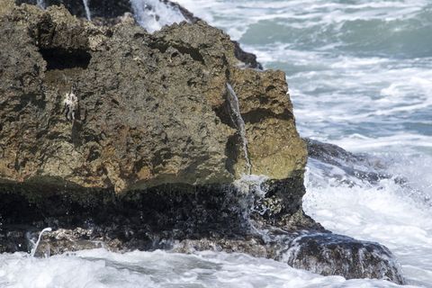 海角、岩石、水、海洋、自然、户外、悬崖、海洋
