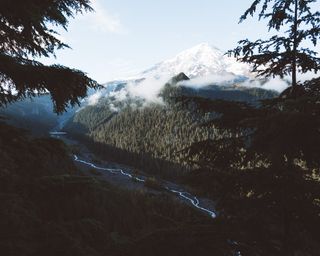 美国，雷尼尔山国家公园，溪流，小溪，山脉，火山，雪，山峰