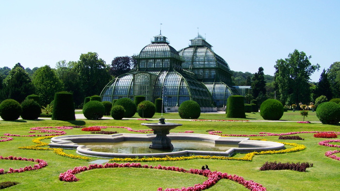 温室俯瞰花园，棕榈屋，Schönbrunn，维也纳，棕榈屋，Schönbrunn，绿色，花卉，植物