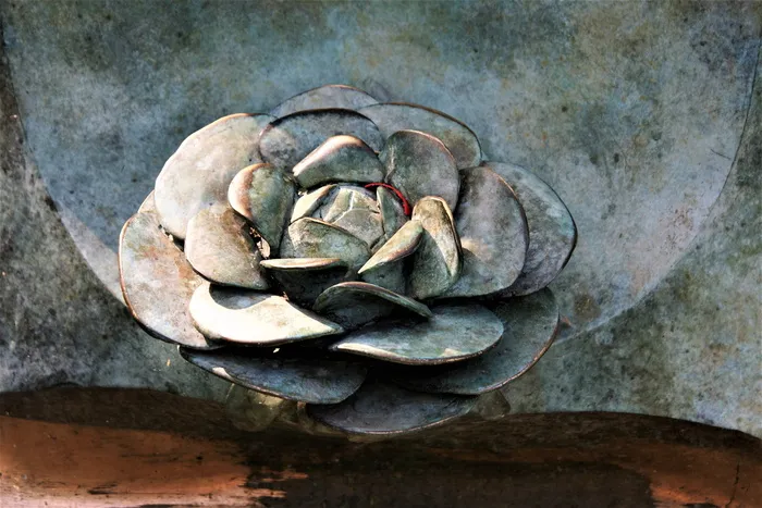 玫瑰花结，铁，雕塑，植物，金属，没有人，固体，特写