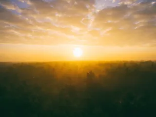 金色，小时摄影，森林，自然，风景，森林，树叶，秋天